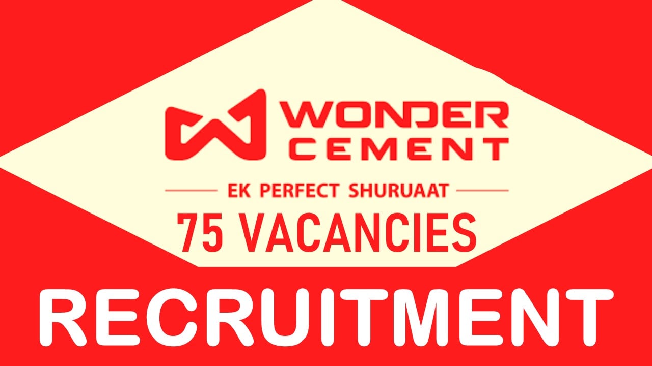Wonder Cement - Wonder (Non-Trade) OPC-53 Cement Minimum Order Quantity 900  Bag Authorized Wholesale Dealer from Jaipur