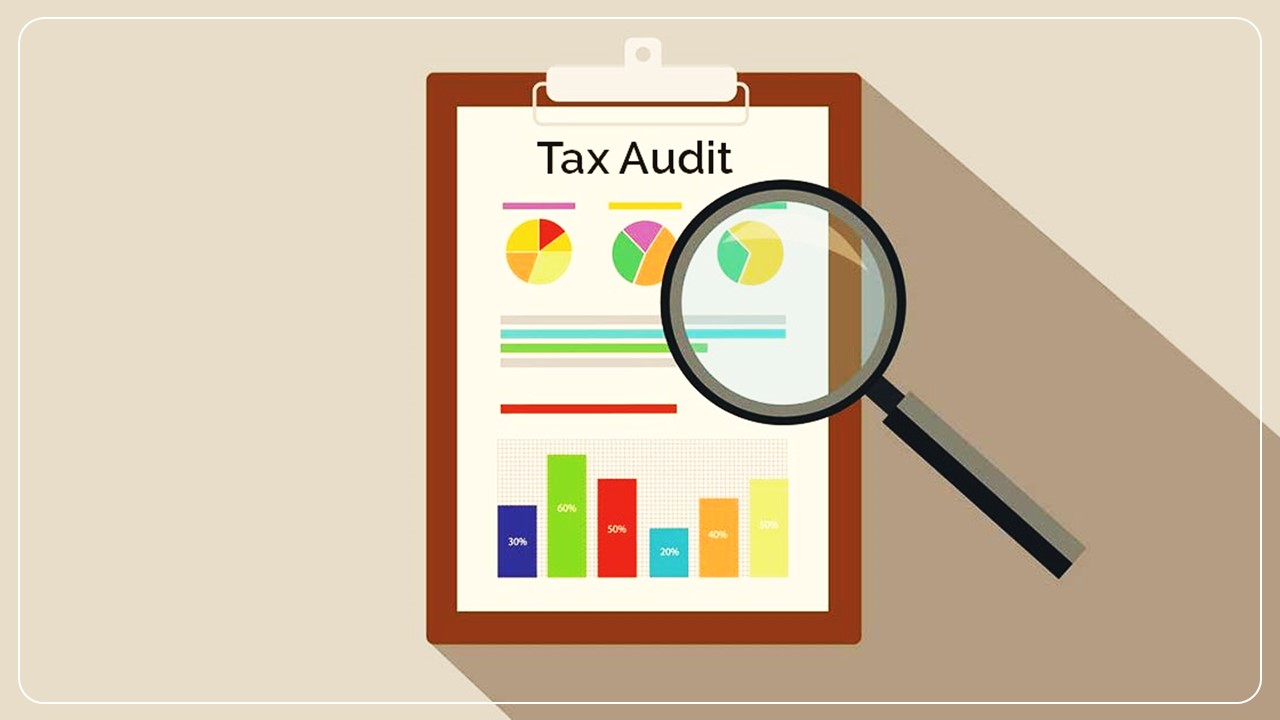 Draft Observations for Tax Audit Report