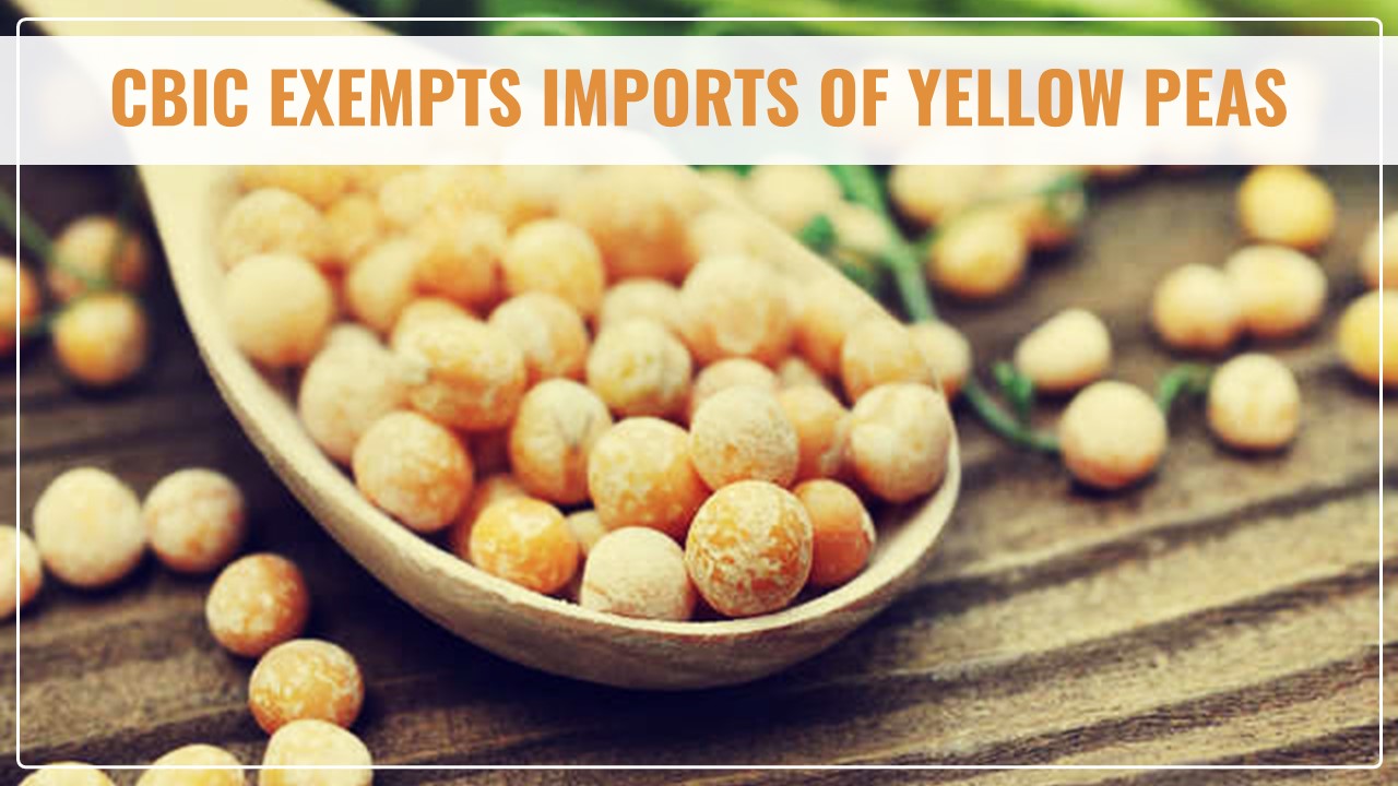 CBIC exempts Imports of Yellow Peas from applicable BCD and AIDC