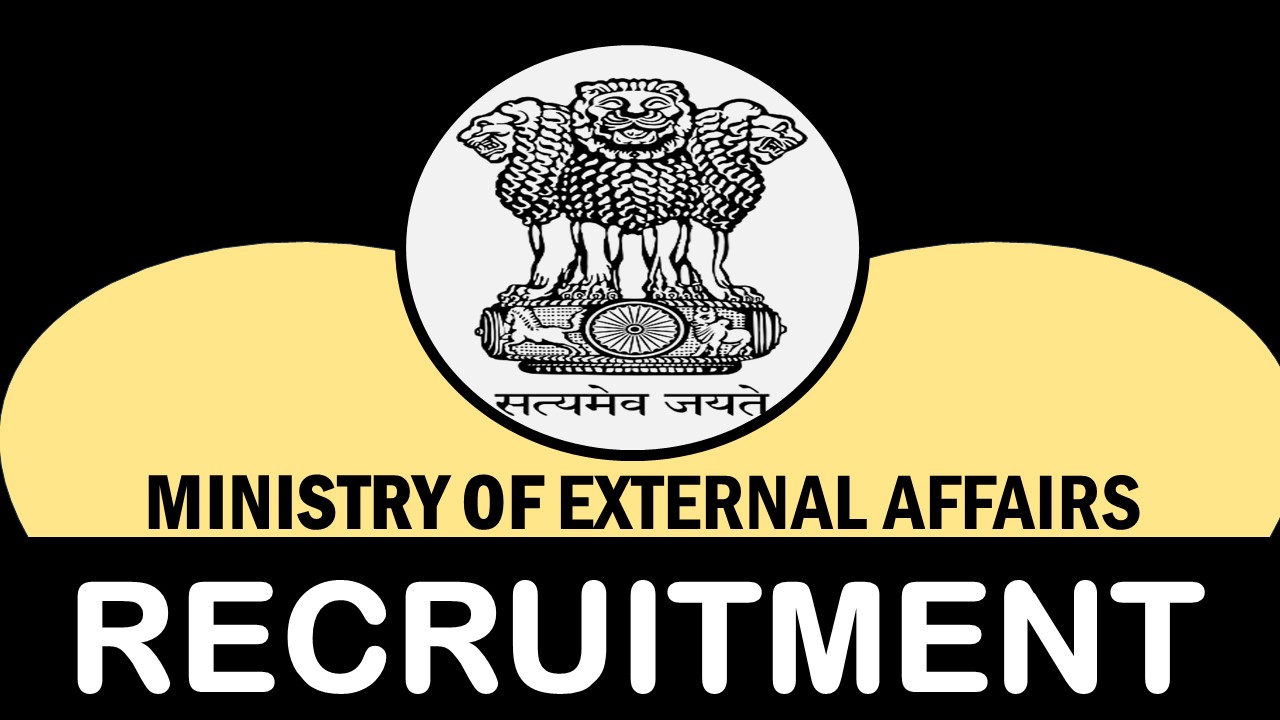 Ministry of Commerce and Industry Recruitment 2024: Check Post, Qualification, Age and How to Apply