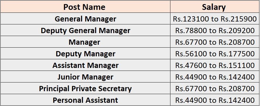 Salary for NHIDCL Recruitment 2024
