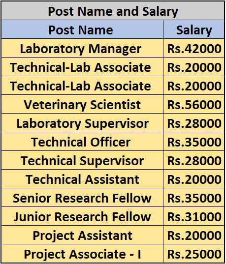 Salary for NCCS Recruitment 2024
