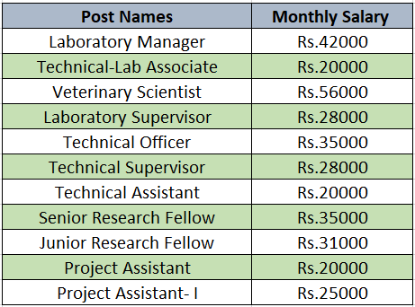 salary for NCCS Recruitment 2024