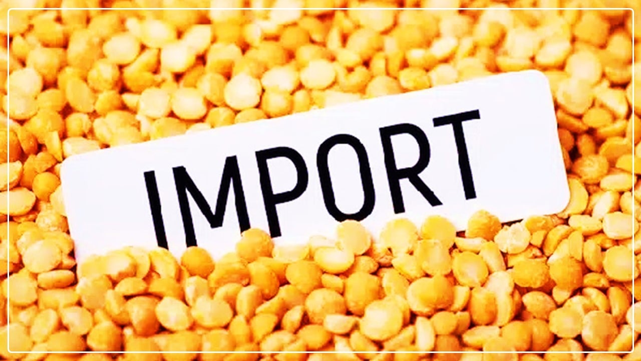 DGFT extends Import Period for Yellow Peas without MIP conditions and Port restriction