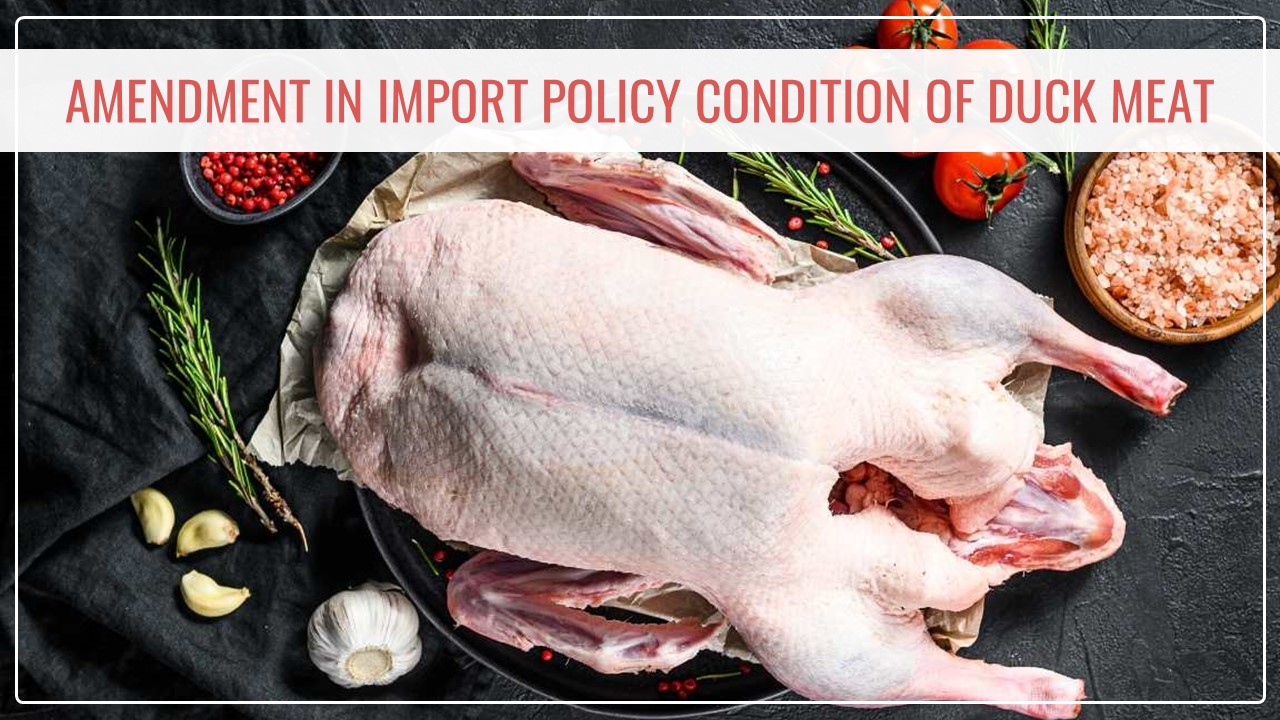 DGFT amends policy condition for Duck Meat [Read Notification]
