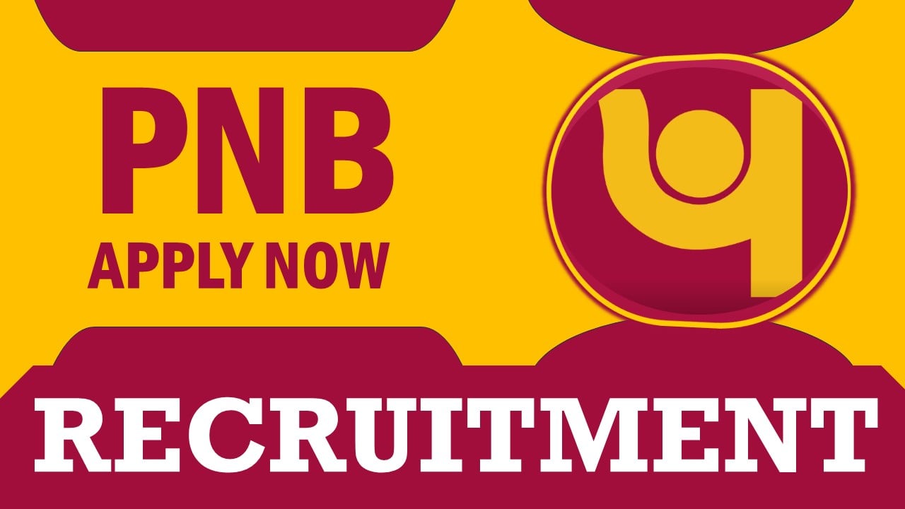 PNB Recruitment 2024: Important Update on Document Collection and Verification Schedule