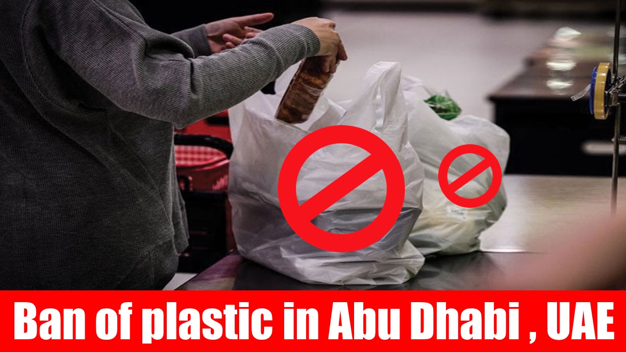 Ban of Plastic in Abu Dhabi, UAE: Paper Bags Created by 4 Year Old Kid Encourages Plastic Ban Policy