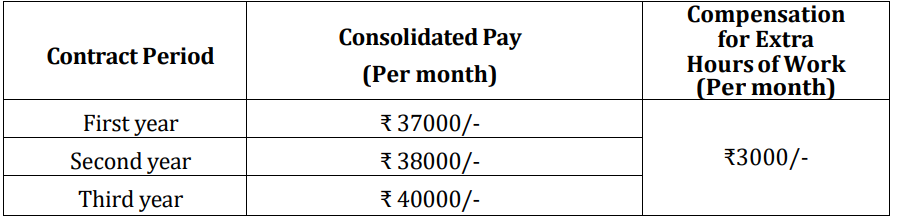 Pay for csl recruitment 2024