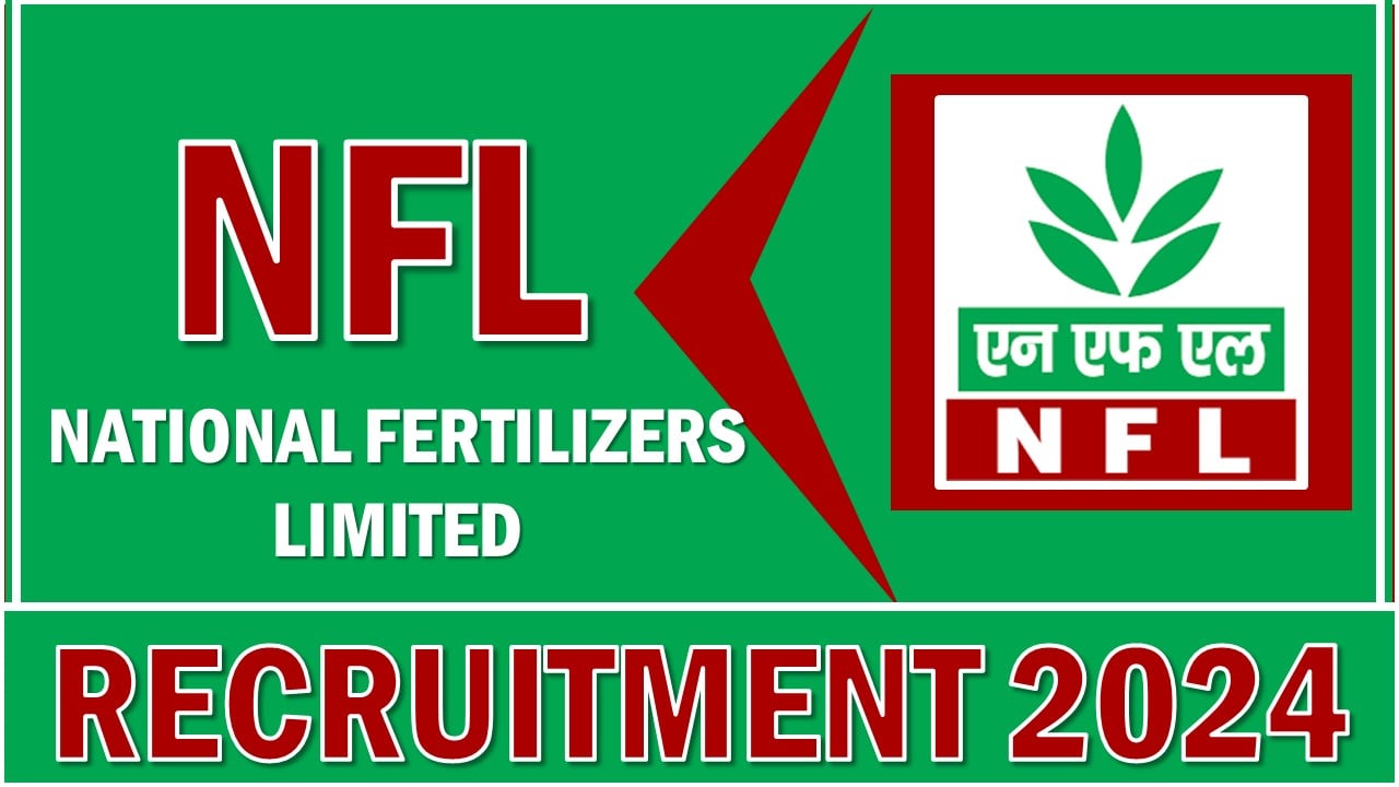 NFL Recruitment 2024: Notification Out For 336 Vacancies, Apply Before Last Date