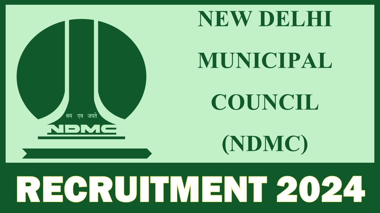 NDMC Recruitment 2024: Apply For Chief Technical Advisor and Other Posts, Application Close on 31st December