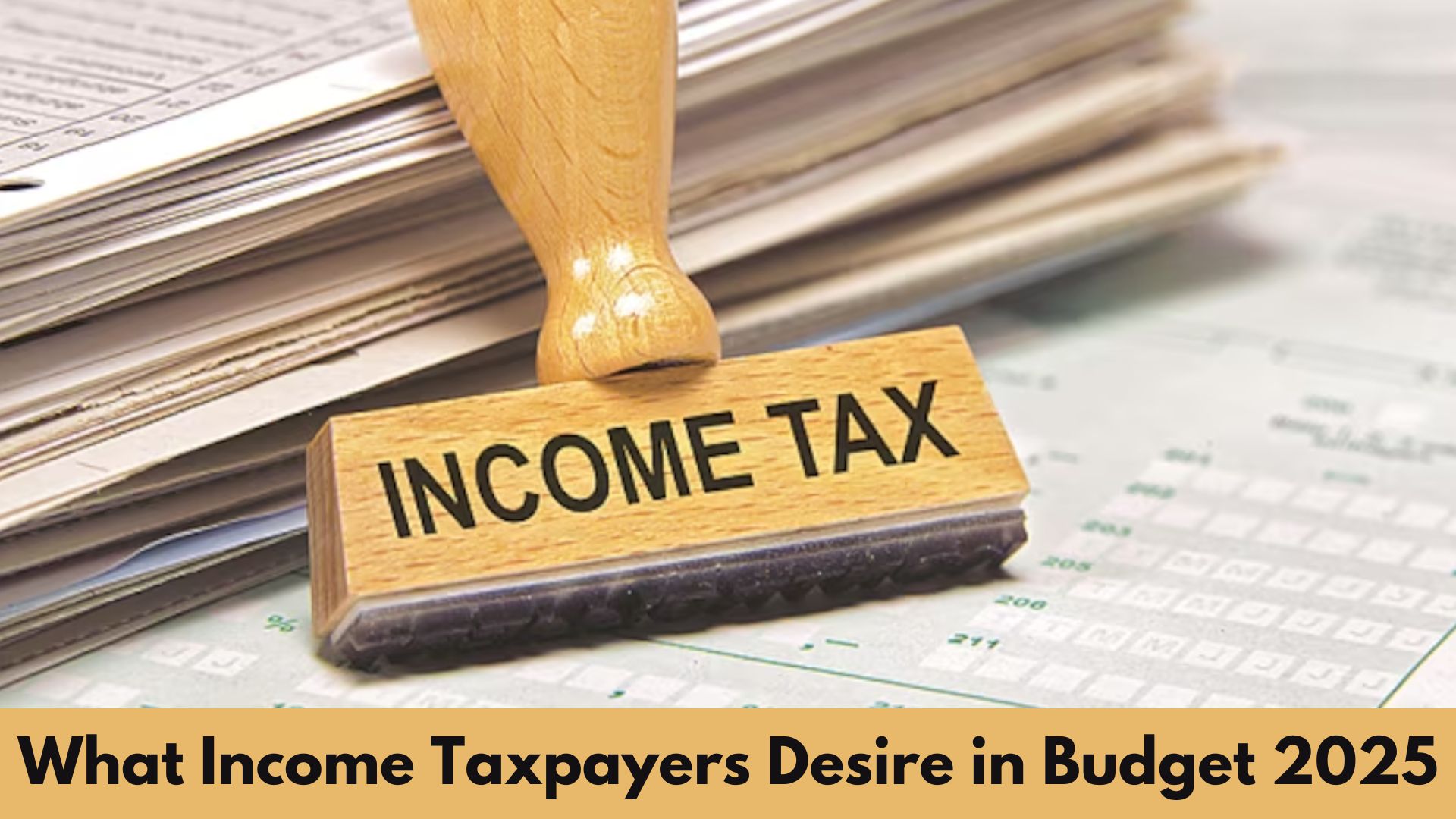 Tax Relief and Benefits: What Income Taxpayers Desire in Budget 2025?