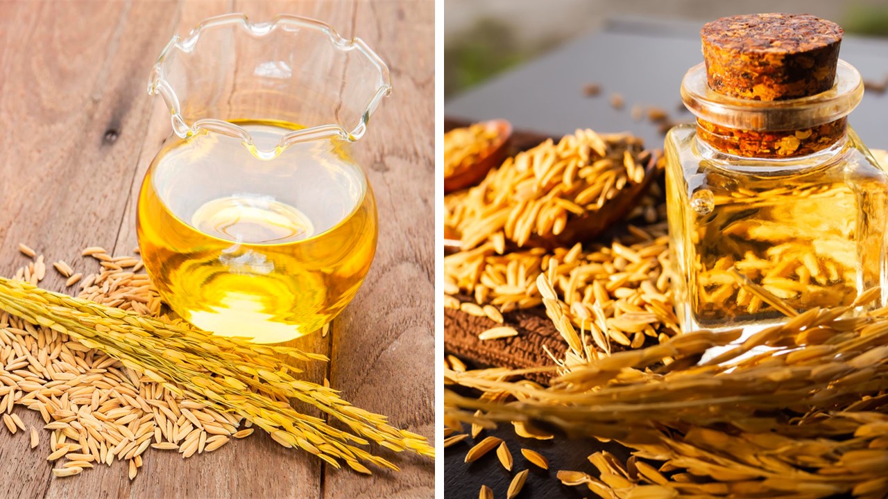 AAR Tamil Nadu Clarifies Correct GST Classification of ‘Mahara Jyothi’ Lamp Oil as Rice Bran Oil