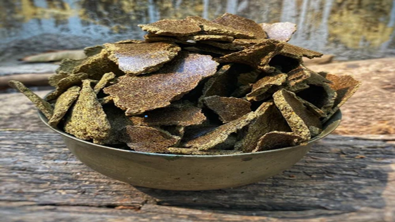 Cotton Seed De-Oiled Cake Does Not Attract GST: WBAAR