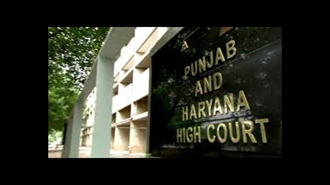 No Personal Hearing Before GST Order Violates Natural Justice, Punjab & Haryana HC Sets Aside Demand